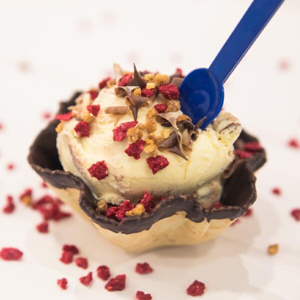 Coppa di gelato artigianale di “Gamela”